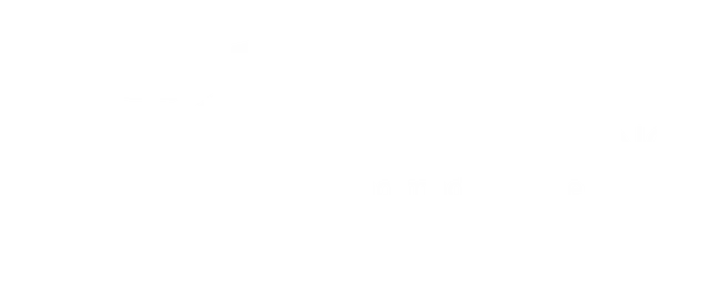 XPress Logo White